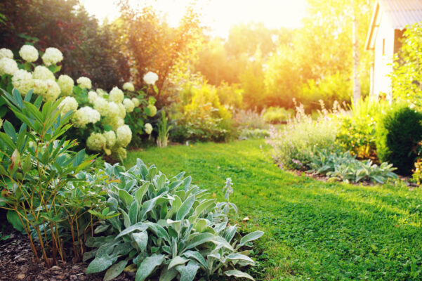 Celebrate a Life with a Memorial Garden